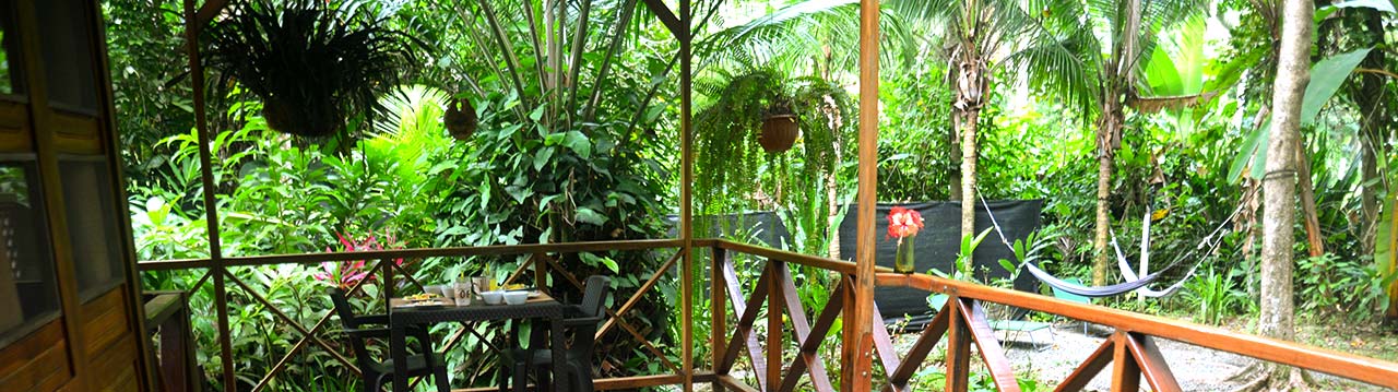 Rental-house-near-Puerto-Viejo