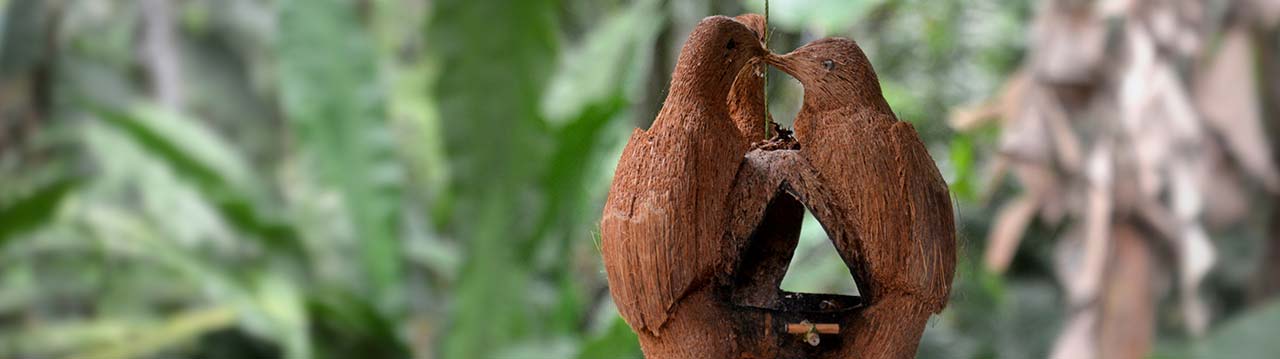 Alquiler-Casas-en-Punta-Uva