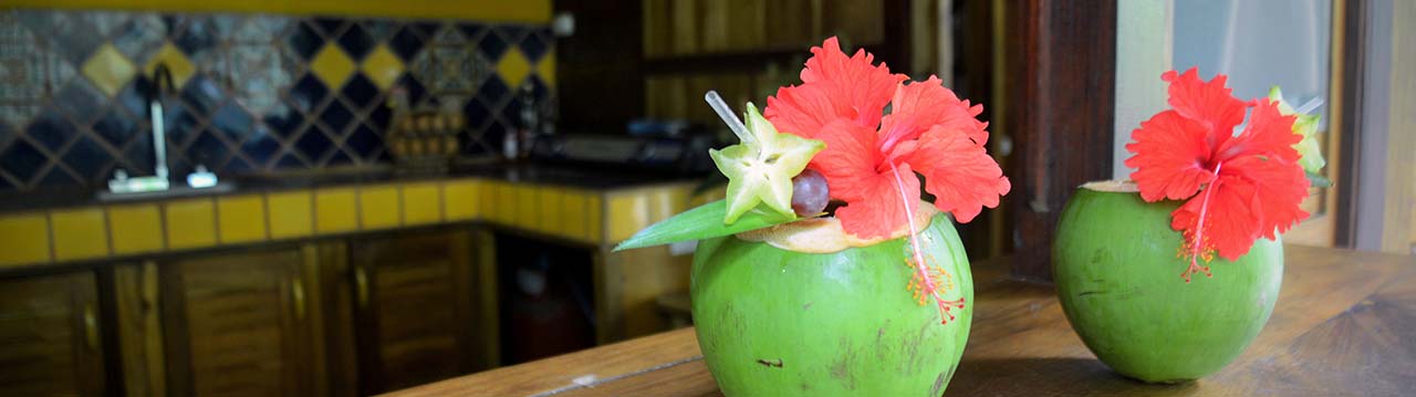 Rental-House-in-Punta-Uva